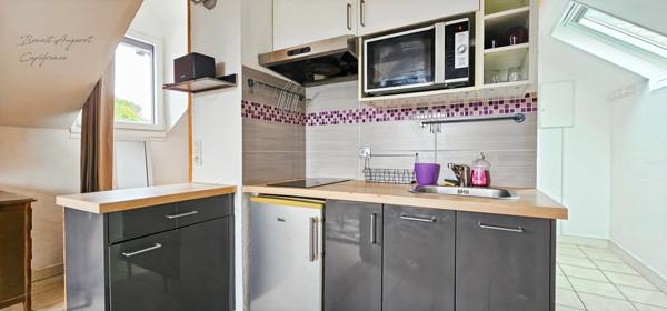 Charmant T1 de 25m² sous les toits, Proméry-Pringy-Annecy