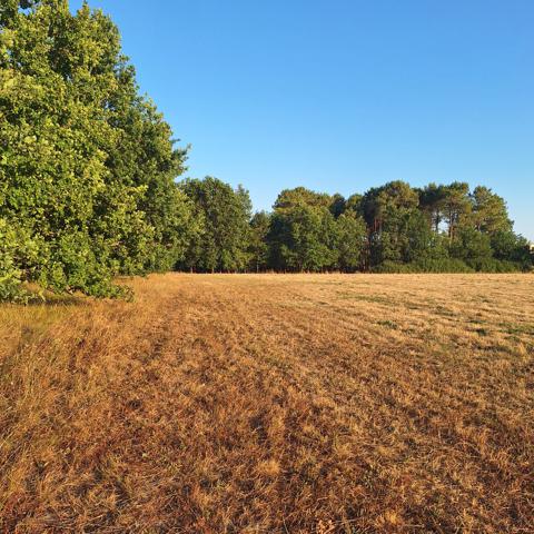 Terrain Agricole Creon 13 502 m2 , Creon Terrain Agricole Creon 13 502 m2 , Creon