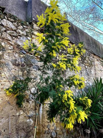 Maison de village de 140 m²