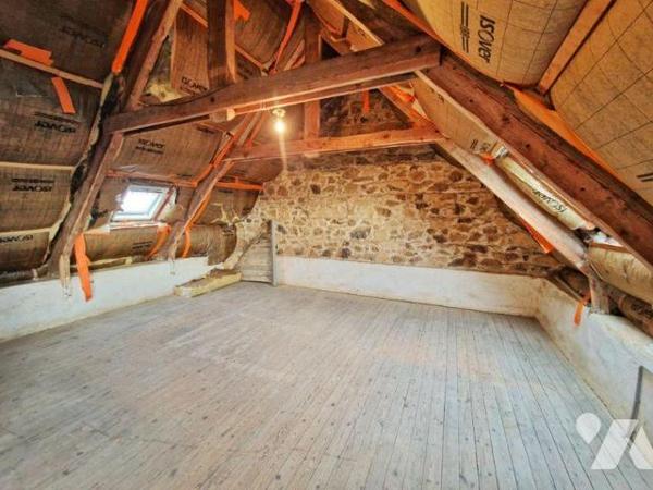 PLEUBIAN EXCLUSIVITE