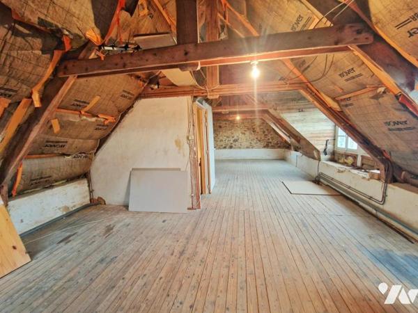 PLEUBIAN EXCLUSIVITE