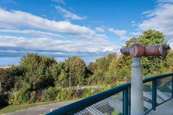 Vente Maison de luxe Évian-les-Bains 13 Pièces 400 m²