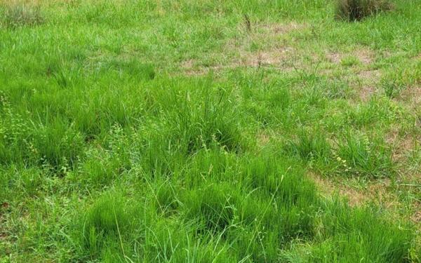 Terrain à vendre    Lons