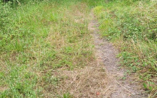 Terrain à vendre    Lons