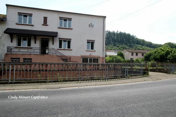 Maison à vendre 5 pièces DALEM (57), garage, sous sol et jardin