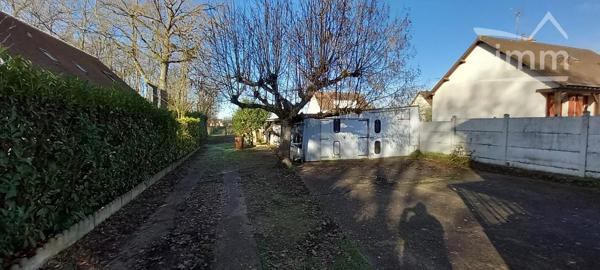 RARE SUR VINEUIL