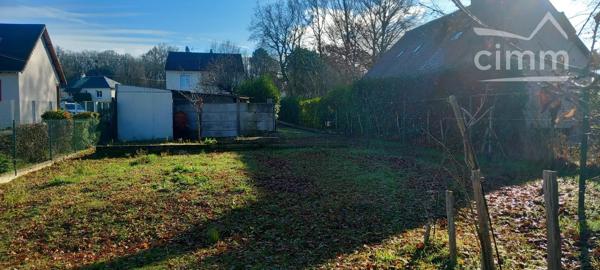 RARE SUR VINEUIL