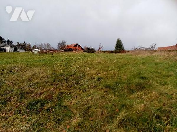 Sur les hauteurs de Raon , parcelle de terrain d'environ 2150 m² (divisible en deux lots)