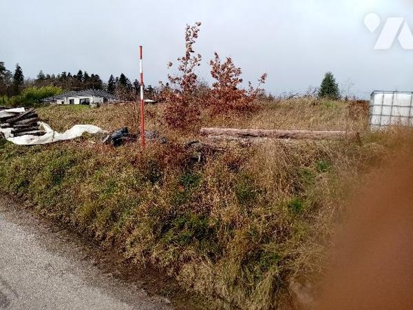 Sur les hauteurs de Raon , parcelle de terrain d'environ 2150 m² (divisible en deux lots)