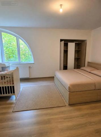 Achat - Immeuble Moyenmoutier 88420 344 m 2