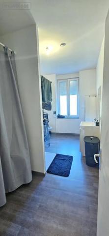 Achat - Immeuble Moyenmoutier 88420 344 m 2