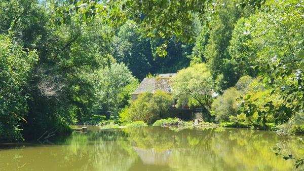 Magnifique moulin rénové dans un écrin de verdure Rignac