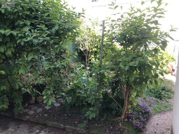 Maison à vendre à Port-Louis dans le Morbihan (56290), ref : 56039-1286