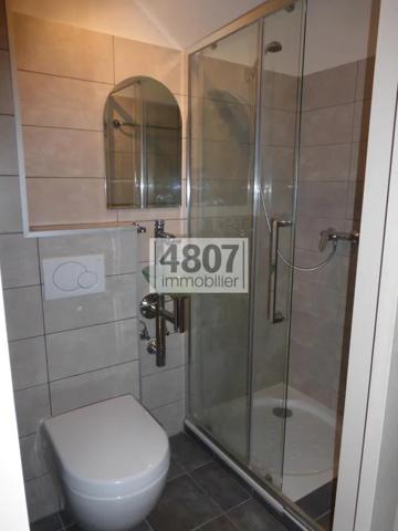 Maison à vendre à Bonne (74380)