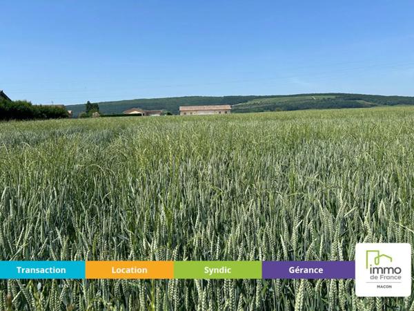 Terrain à vendre à Viré (71260)