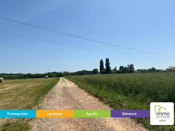 Terrain à vendre à Viré (71260)