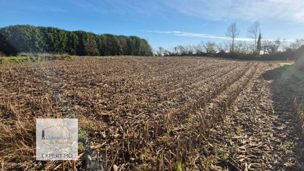 Tourch (29140) TOURCH TERRAIN CONSTRUCTIBLE DE 650 M²