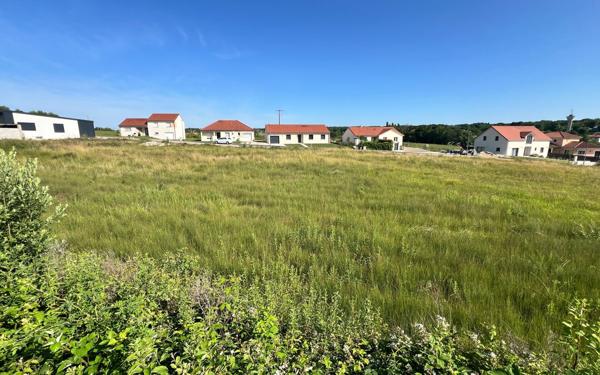 Terrain à vendre    Baudonvilliers