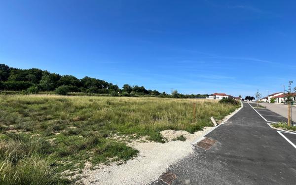 Terrain à vendre    Baudonvilliers