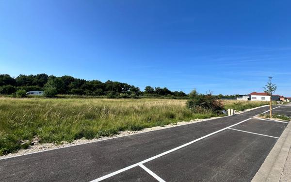 Terrain à vendre    Baudonvilliers