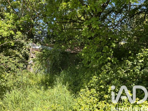 Terrain à vendre 2 685 m² Charroux