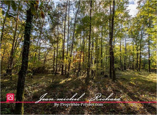 Propriété de chasse Sologne 42 hectares
