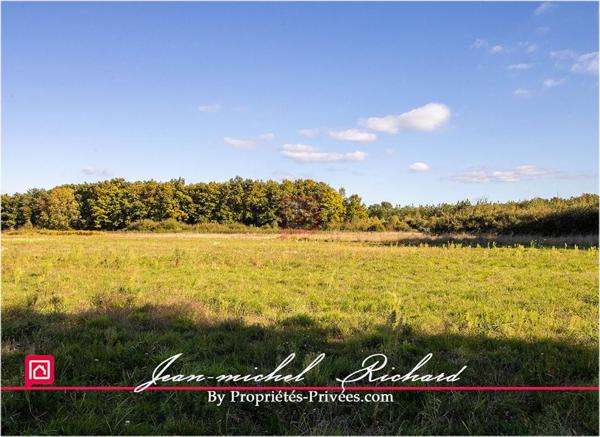 Propriété de chasse Sologne 42 hectares