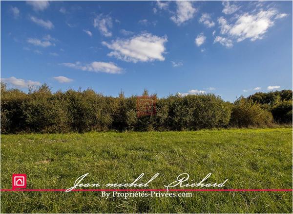 Propriété de chasse Sologne 42 hectares