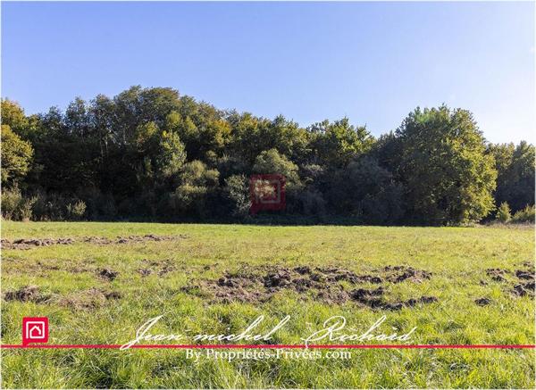 Propriété de chasse Sologne 42 hectares