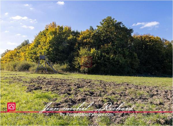 Propriété de chasse Sologne 42 hectares