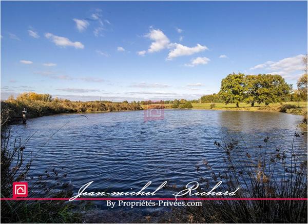 Propriété de chasse Sologne 42 hectares