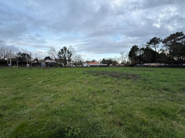 Terrain Saint Hilaire De Riez 647m2