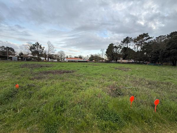 Terrain Saint Hilaire De Riez 647m2