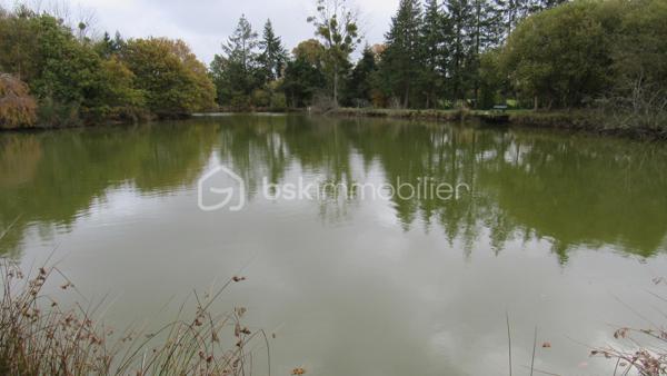 Terrain de loisirs de 16 985 m²