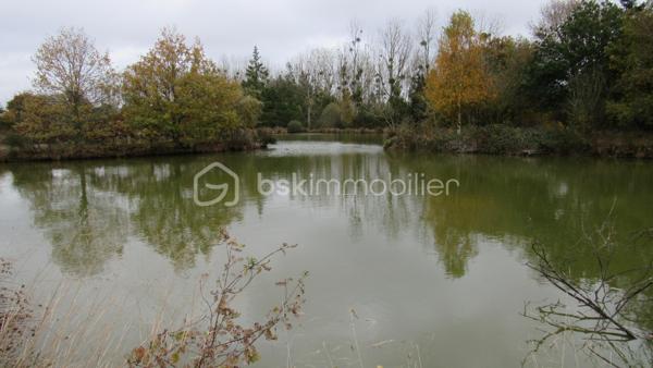 Terrain de loisirs de 16 985 m²
