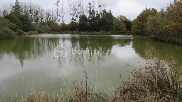 Terrain de loisirs de 16 985 m²