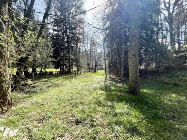 À VENDRE – Ancien Moulin de Charme à Saint-Just (15320) – Limite Cantal/Lozère