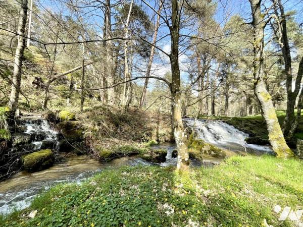 À VENDRE – Ancien Moulin de Charme à Saint-Just (15320) – Limite Cantal/Lozère