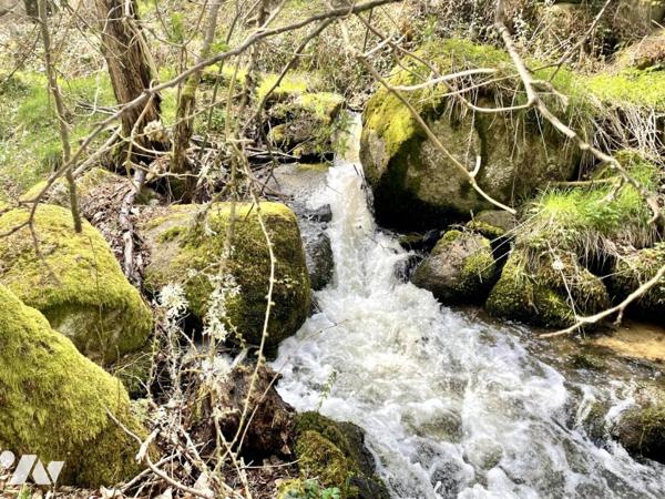 À VENDRE – Ancien Moulin de Charme à Saint-Just (15320) – Limite Cantal/Lozère
