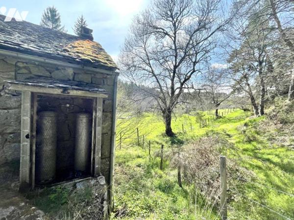 À VENDRE – Ancien Moulin de Charme à Saint-Just (15320) – Limite Cantal/Lozère