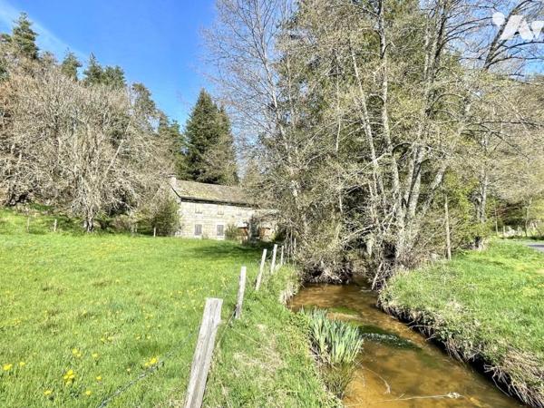À VENDRE – Ancien Moulin de Charme à Saint-Just (15320) – Limite Cantal/Lozère