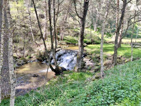 À VENDRE – Ancien Moulin de Charme à Saint-Just (15320) – Limite Cantal/Lozère