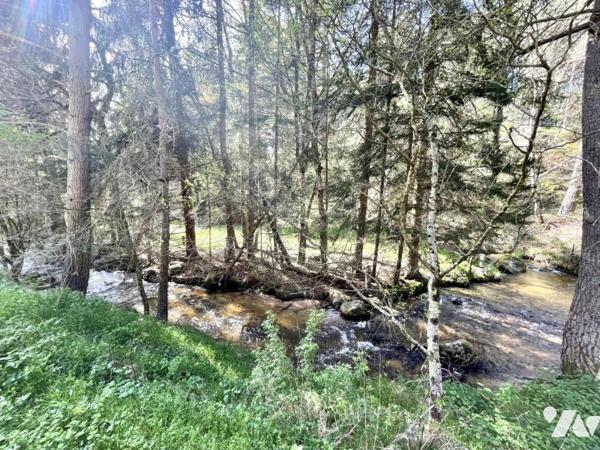 À VENDRE – Ancien Moulin de Charme à Saint-Just (15320) – Limite Cantal/Lozère