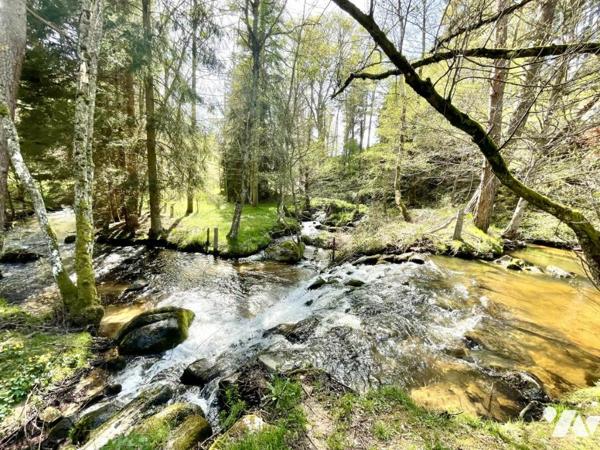 À VENDRE – Ancien Moulin de Charme à Saint-Just (15320) – Limite Cantal/Lozère