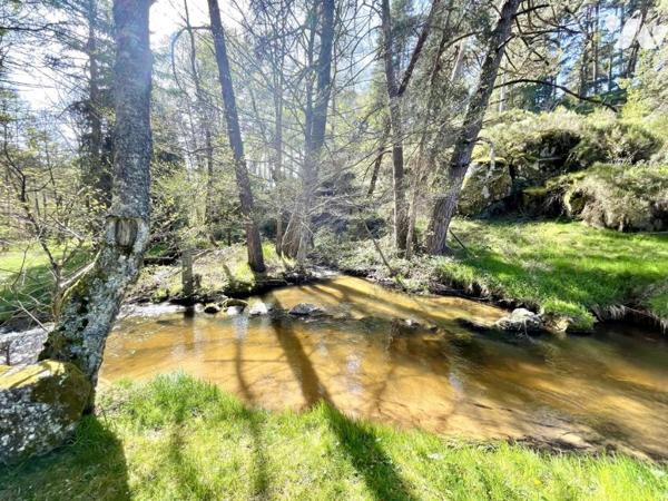 À VENDRE – Ancien Moulin de Charme à Saint-Just (15320) – Limite Cantal/Lozère