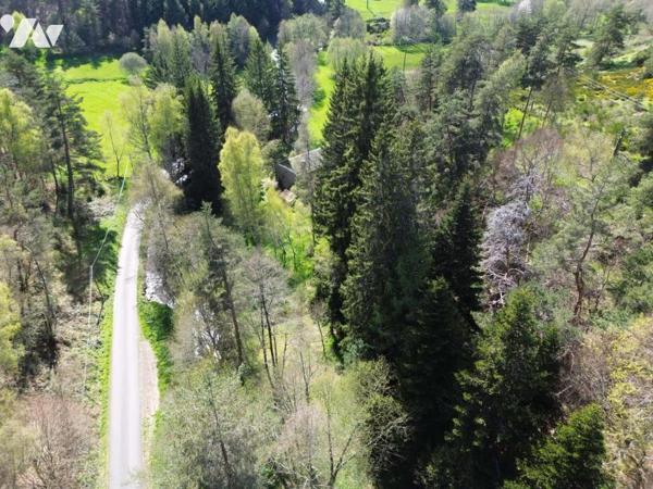 À VENDRE – Ancien Moulin de Charme à Saint-Just (15320) – Limite Cantal/Lozère