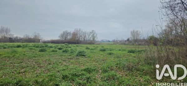 Terrain à vendre 49 890 m² Muret