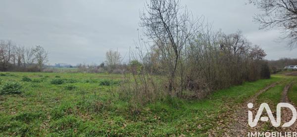 Terrain à vendre 49 890 m² Muret