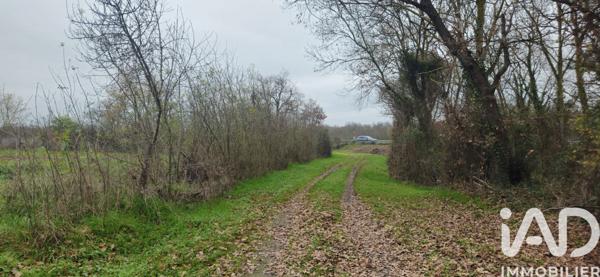 Terrain à vendre 49 890 m² Muret