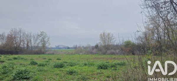 Terrain à vendre 49 890 m² Muret